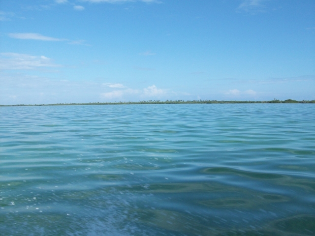 Pescando en cancun 